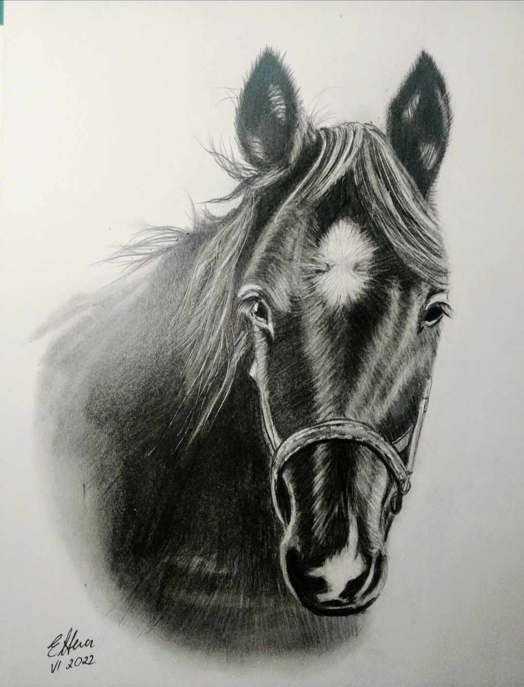 Portret ze zdjęcia - koń