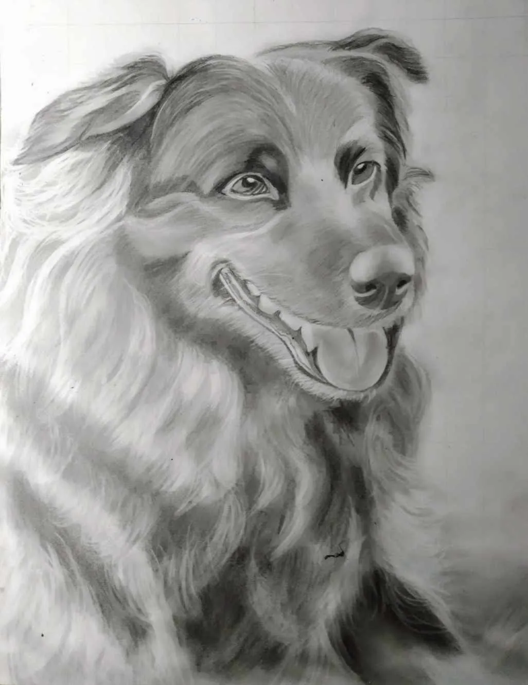 Portret ze zdjęcia - pies